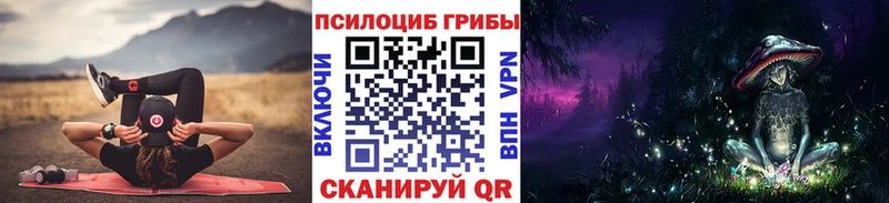 где купить   гидра зеркало  darknet наркотические препараты  Майкоп  Псилоцибиновые грибы Magic Shrooms 