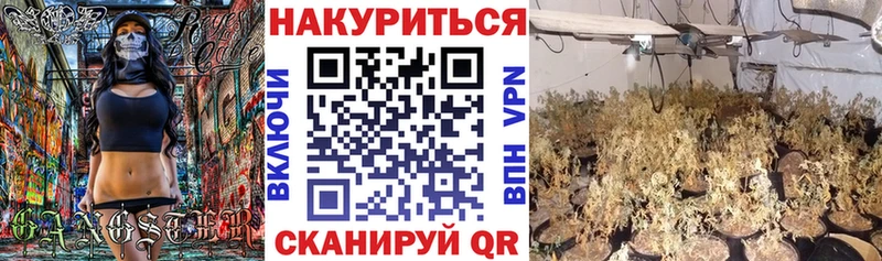 купить закладку  omg как войти  маркетплейс какой сайт  Майкоп  Канабис Amnesia 